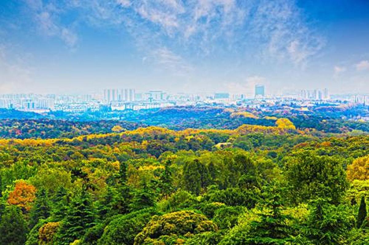 春光中的中国#&nbsp;钟山风景区:钟山风景名胜区,位于江苏省南京市形滗