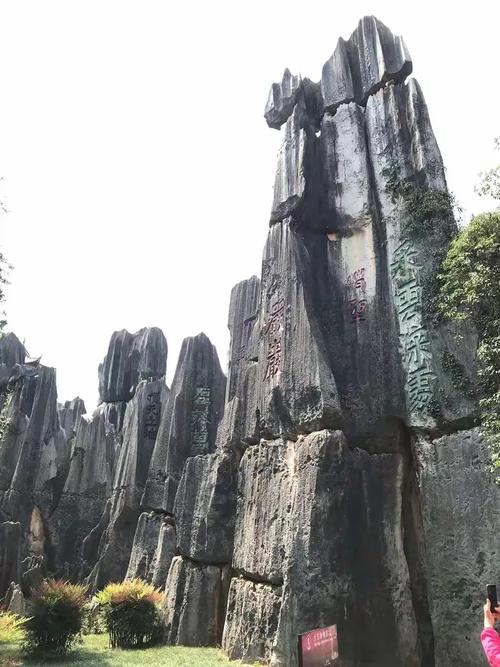 名胜区石林风景